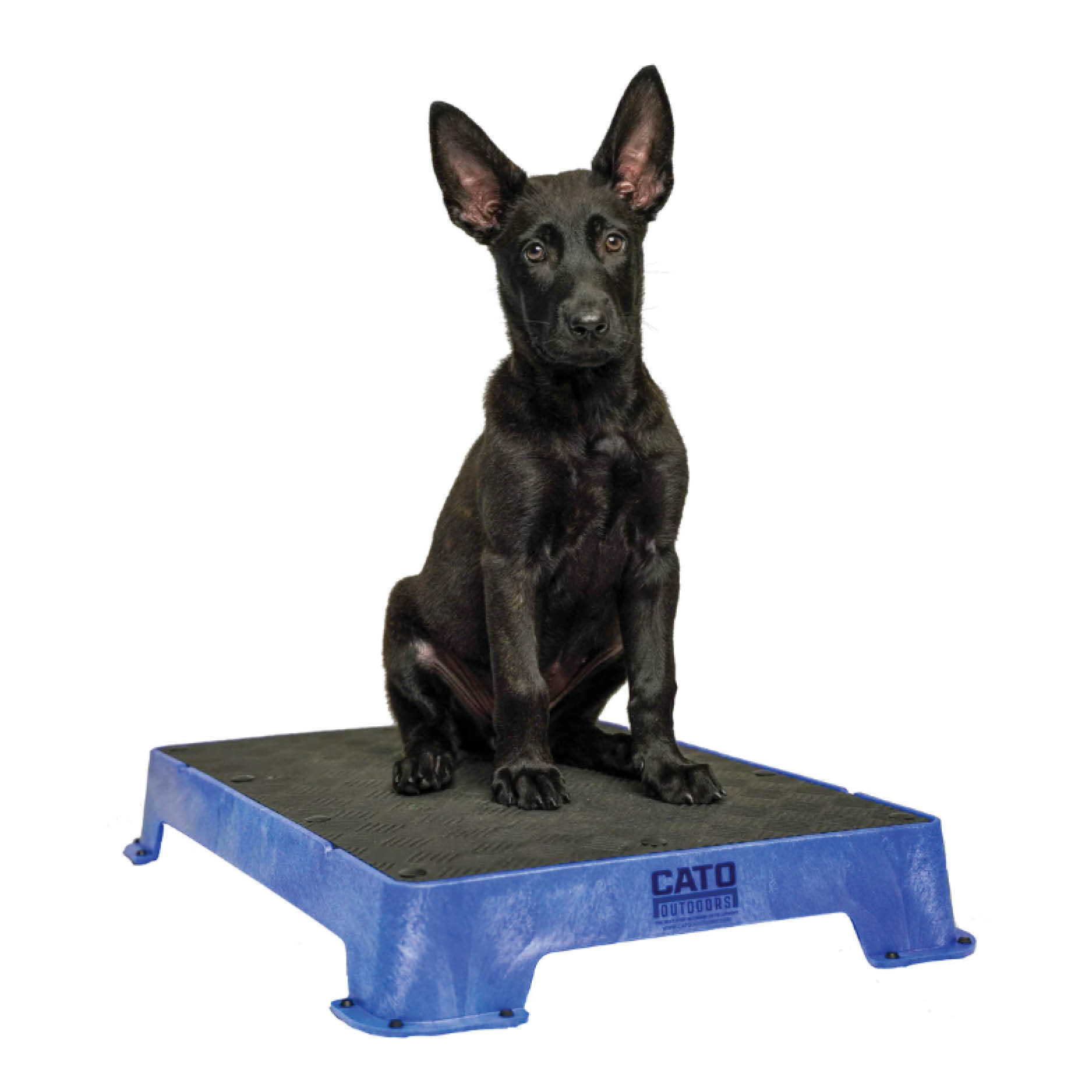 ORDER YOUR CATO BOARD Good as Gold