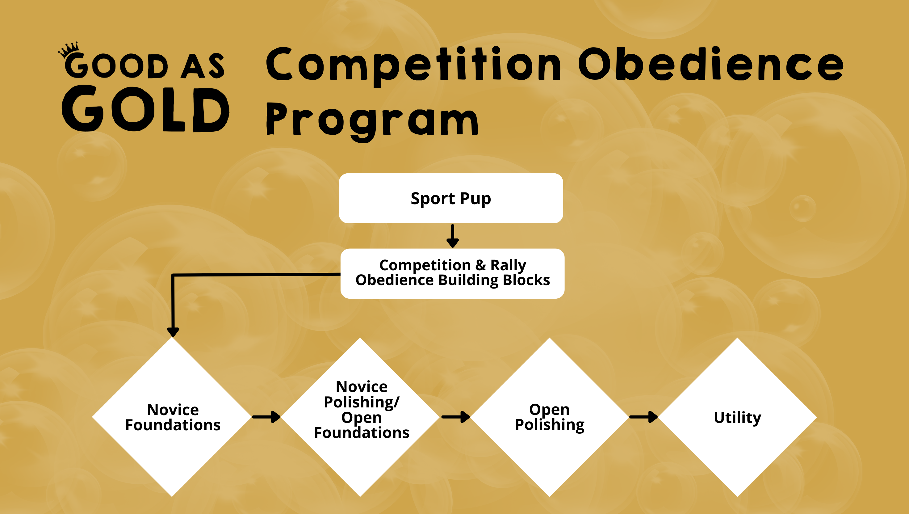 Competition Obedience