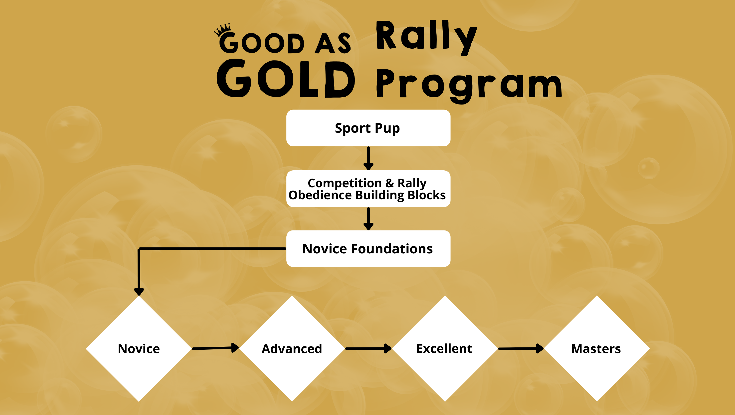 Rally Program