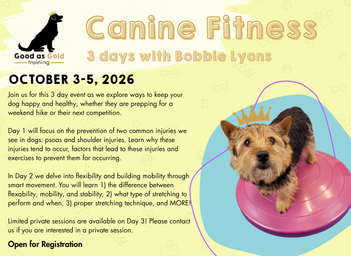 Bobbi Lyons October 2026-3
